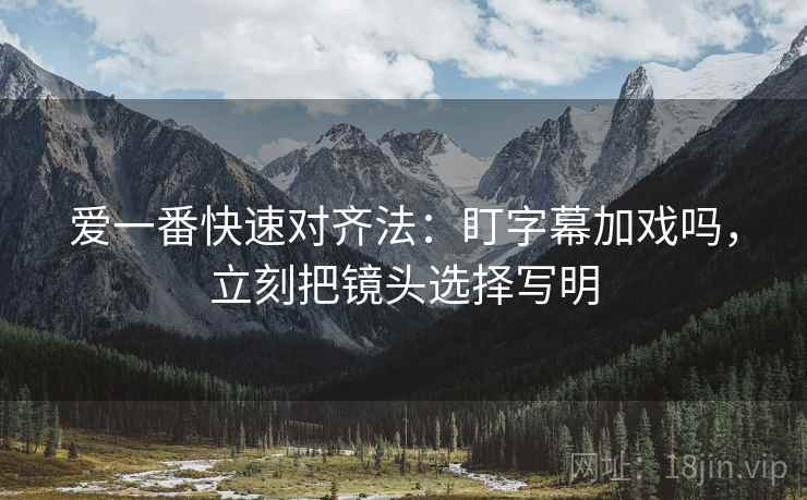 爱一番快速对齐法：盯字幕加戏吗，立刻把镜头选择写明  第2张